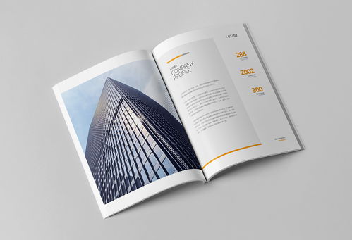 簡(jiǎn)約大氣，專(zhuān)業(yè)信賴 商務(wù)咨詢與投資企業(yè)公司畫(huà)冊(cè)